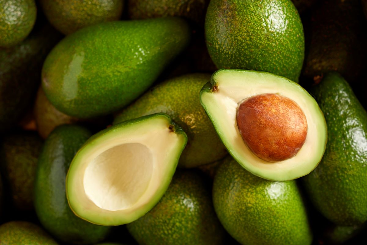 Noyau d'avocat et poudre de noyau d'avocat