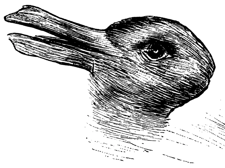 Représentation artistique d'un canard