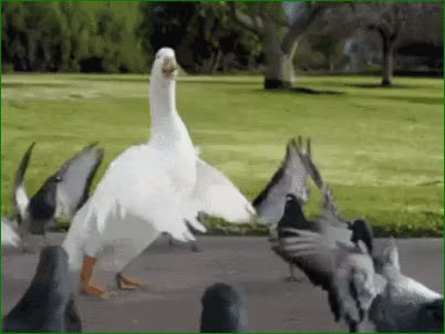 GIF comique d'une personne mimant un combat contre un monstre imaginaire