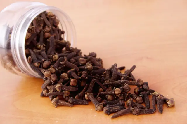 Tasse d'infusion chaude avec des clous de girofle