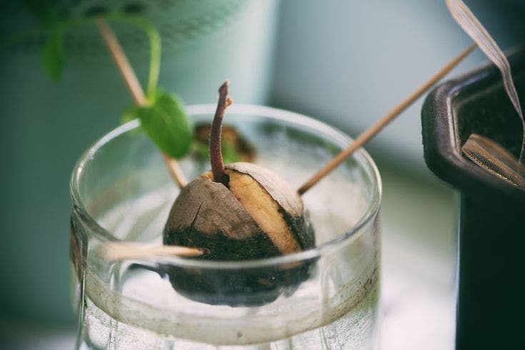 Arrêtez d'acheter les avocats