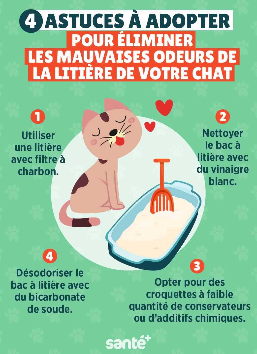 Astuces à adopter pour éliminer les mauvaises odeurs de la litière de votre chat