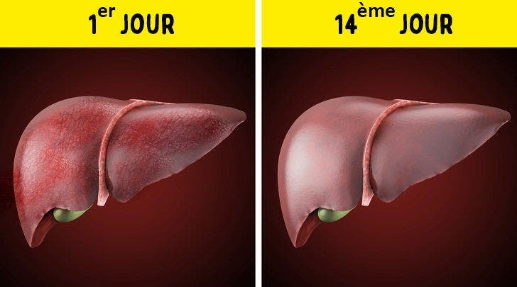 Ce qui arrive à votre corps lorsque vous ne buvez pas d’alcool pendant 28 jours