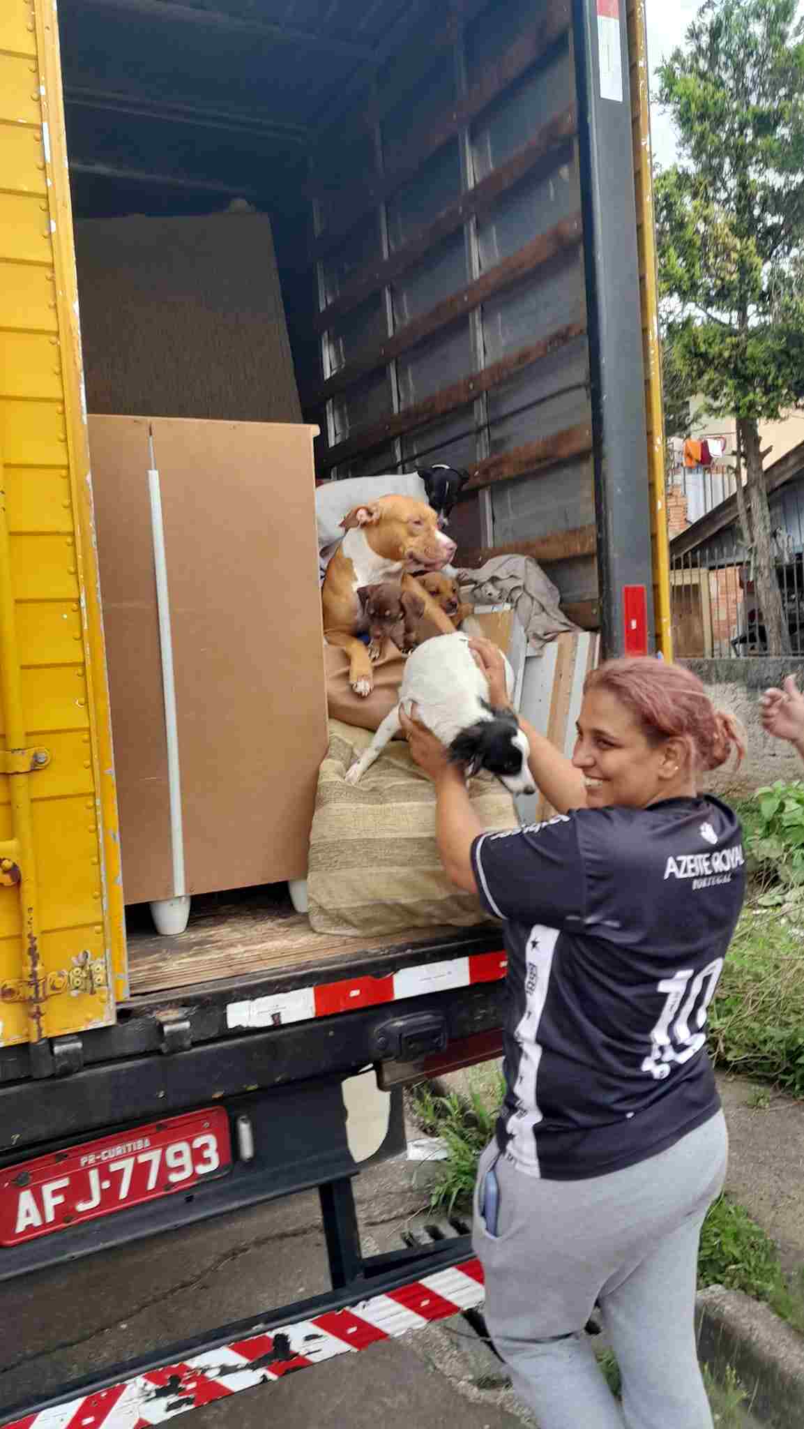 Elle dépose les chiens dans le camion