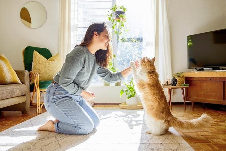 Femme jouant avec son chat