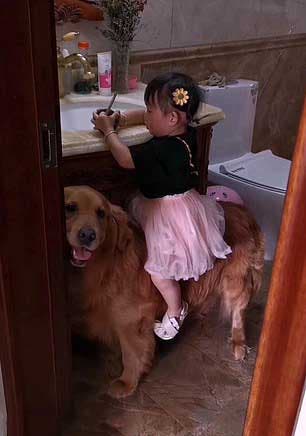 Le chien Harry et la petite fille3