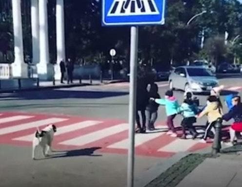 Le chien Kupata aide les enfants