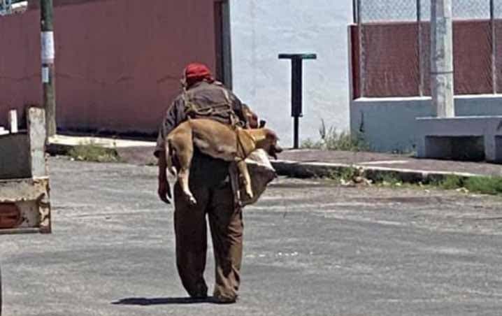 Le grand-père portant le chien