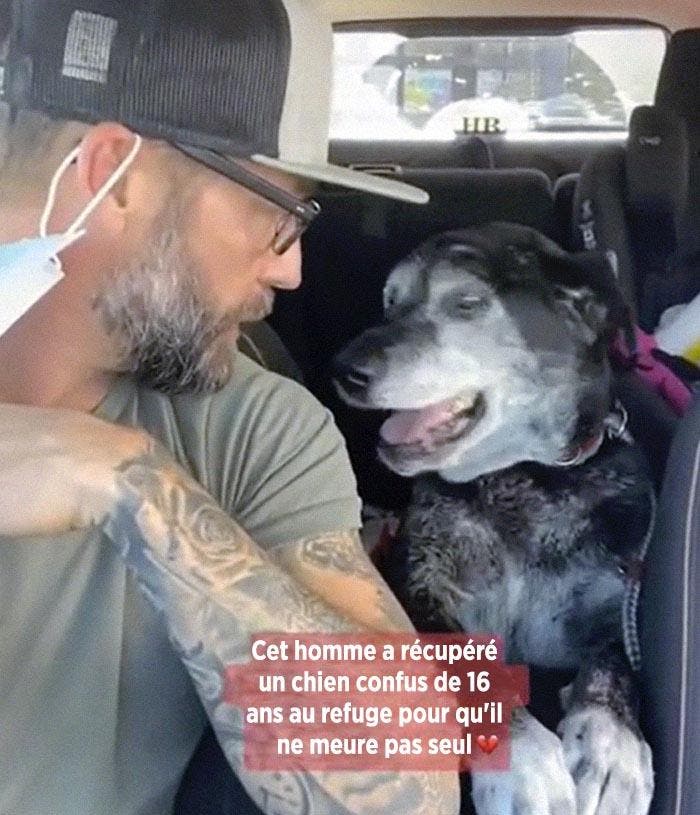 Le jeune homme avec le chien âgée2