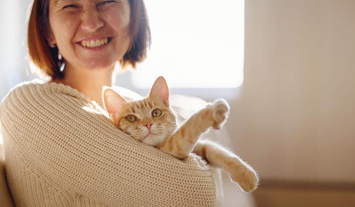 Les chats améliorent le bien-être