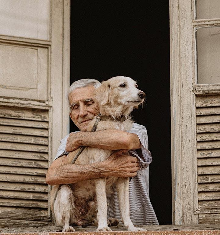 L’homme câline son chien