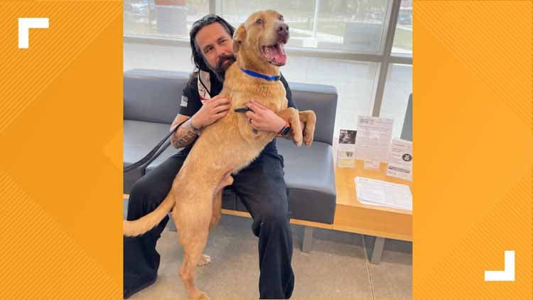 Michael Joy et son chien Sam