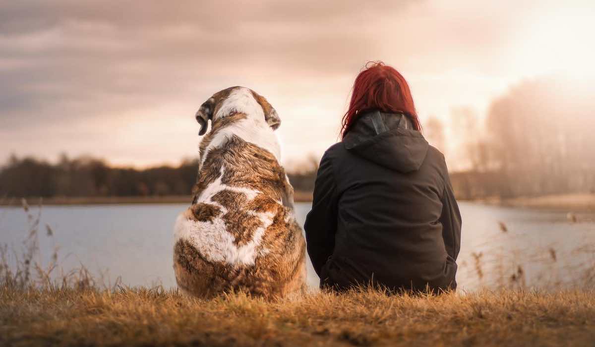 Perdre un chien