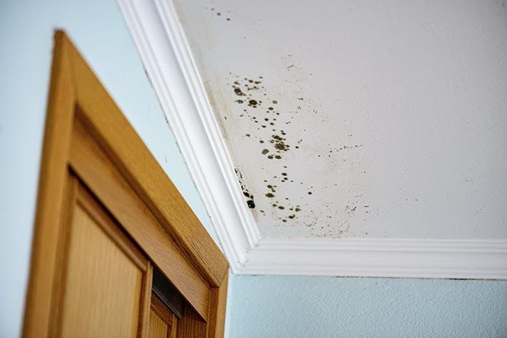 Traces de moisissures dans une chambre à coucher