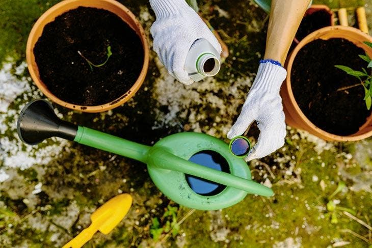 Traitement des plantes