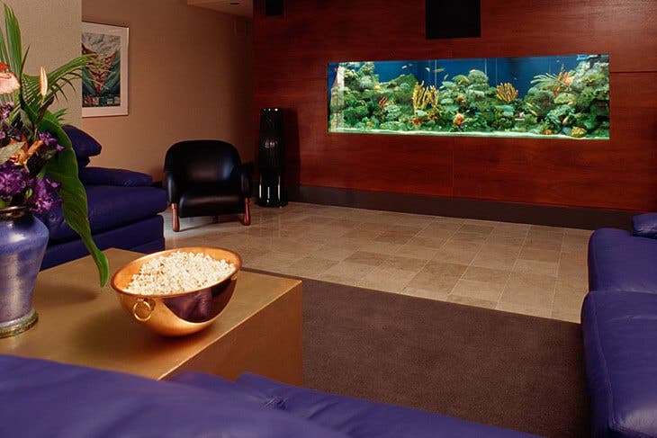 Un aquarium placé dans le salon 