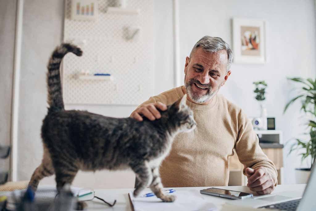 Un chat avec un homme âgé