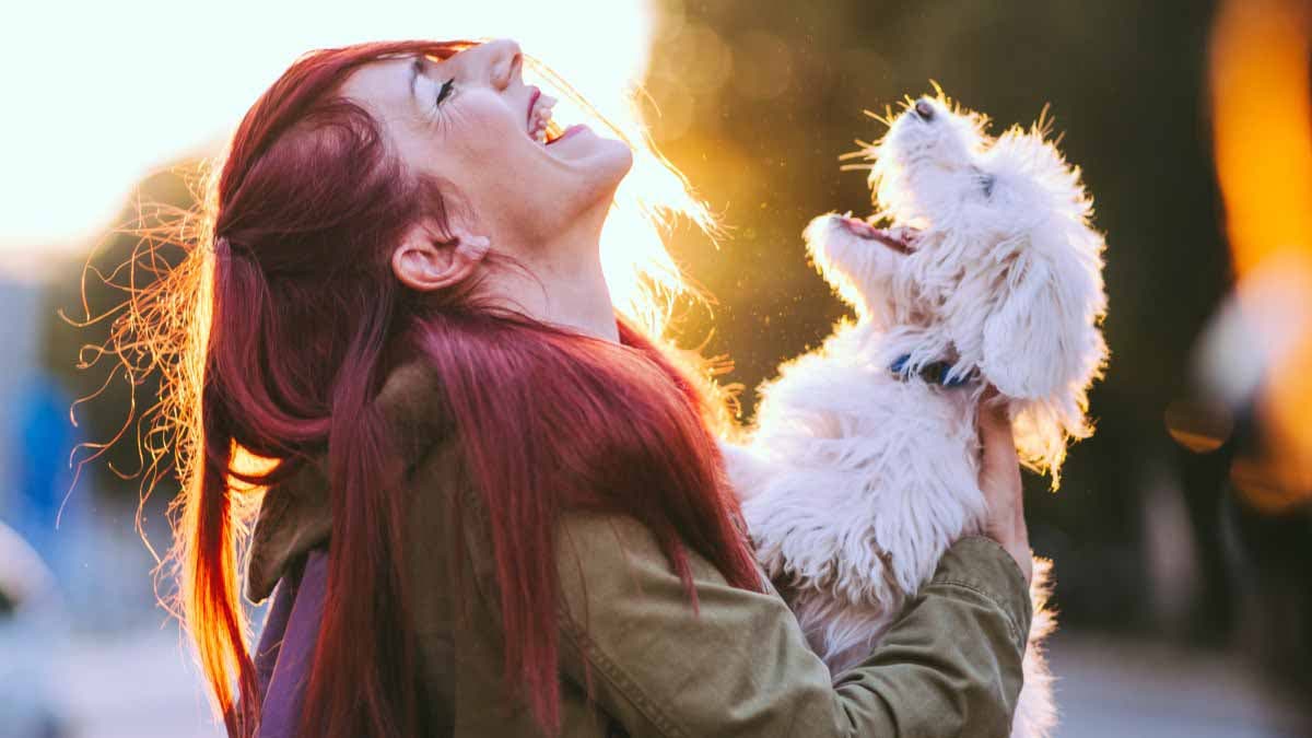 Un chien et sa maitresse1