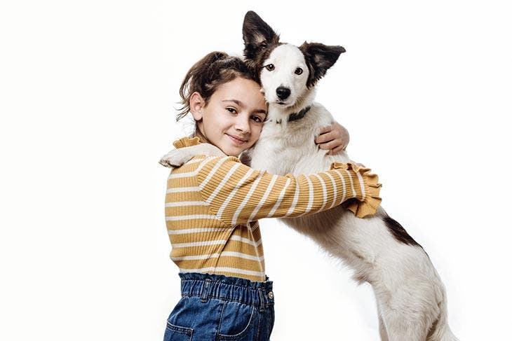 Un chien qui aime son maître