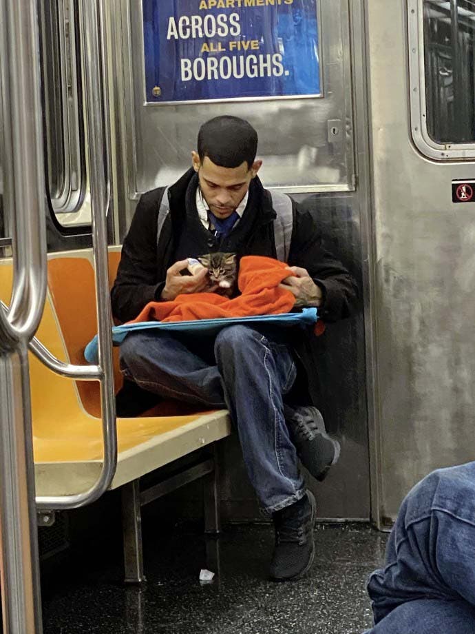 Un homme prend soin d'un petit chaton dans le métro