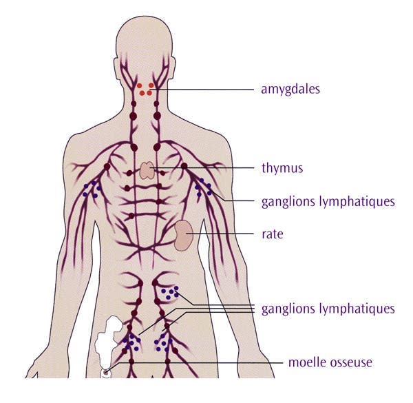 Voici la bonne position pour dormir pour guérir 3 maladies