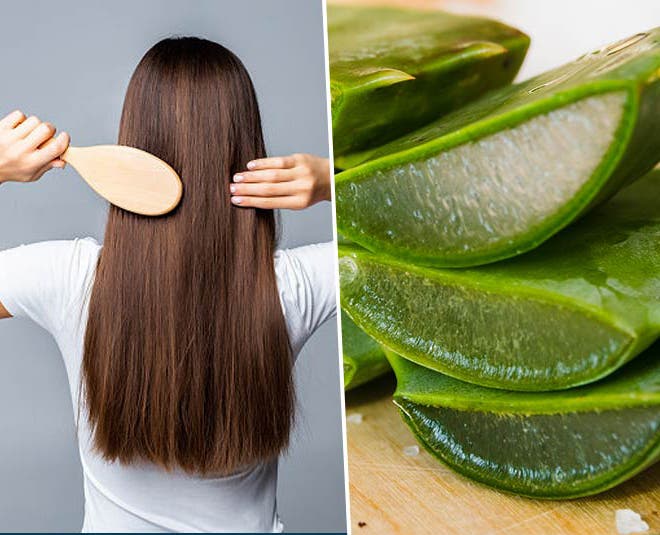 aloe vera cheveux