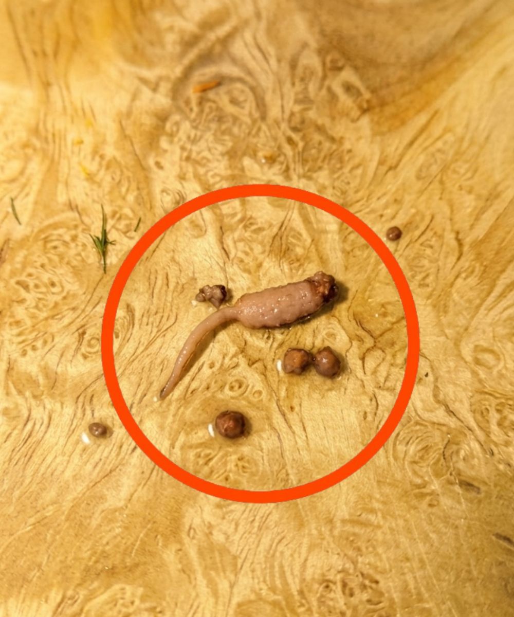 Image rappelant la forme étrange découverte dans une poêle de bœuf haché
