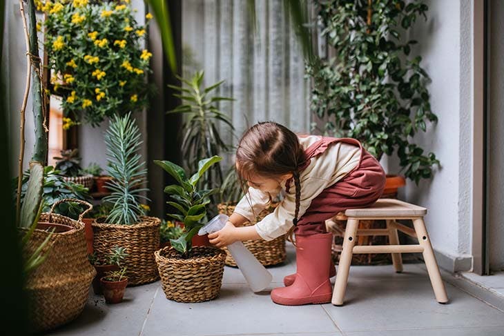 Arroser les plantes 