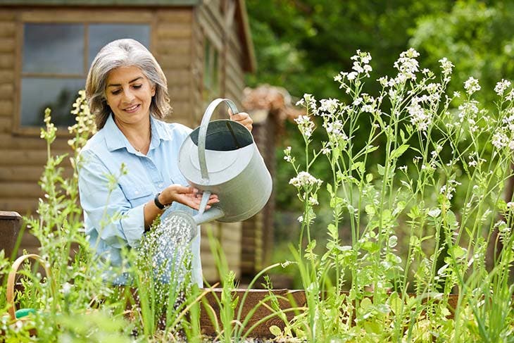 Arroser les plantes du jardin - source : spm