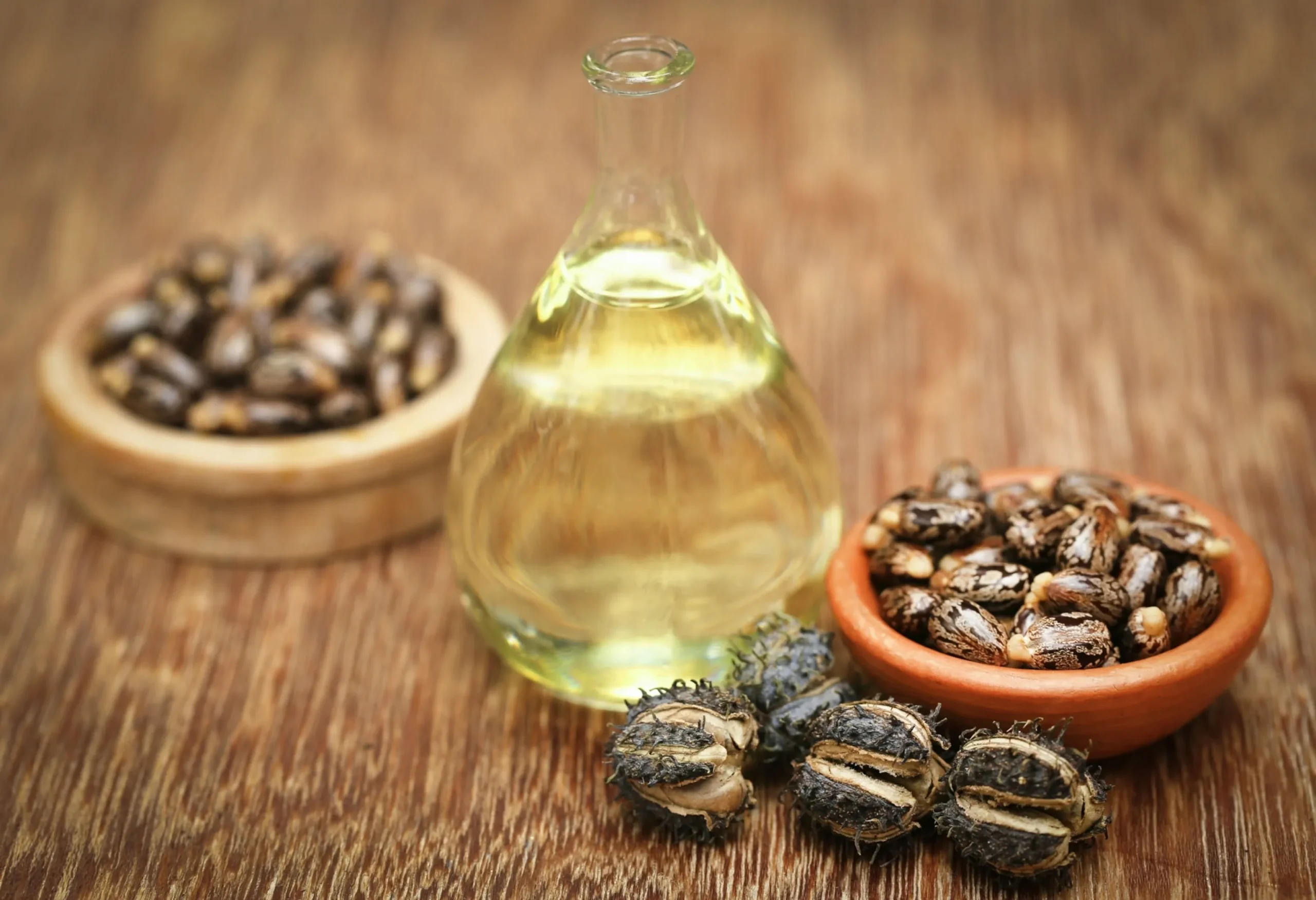 Gouttes d'huile de ricin sur une feuille verte