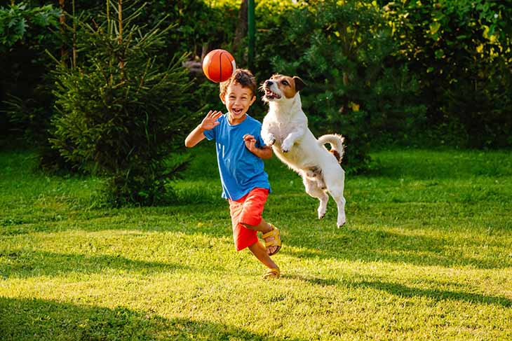 avoir un chien