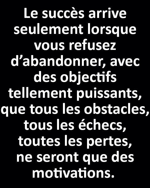 Tout le monde doit avoir un Bélier dans sa vie