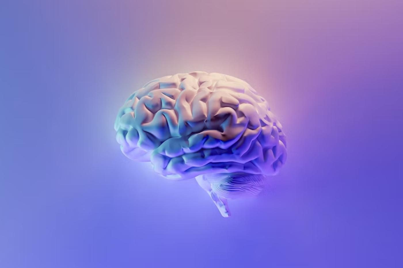 Représentation artistique d'un cerveau en activité