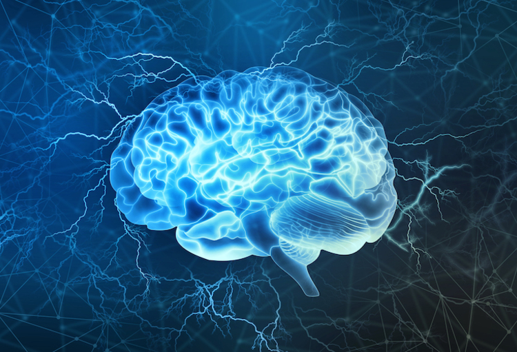 Illustration stylisée d'un cerveau humain vu de profil