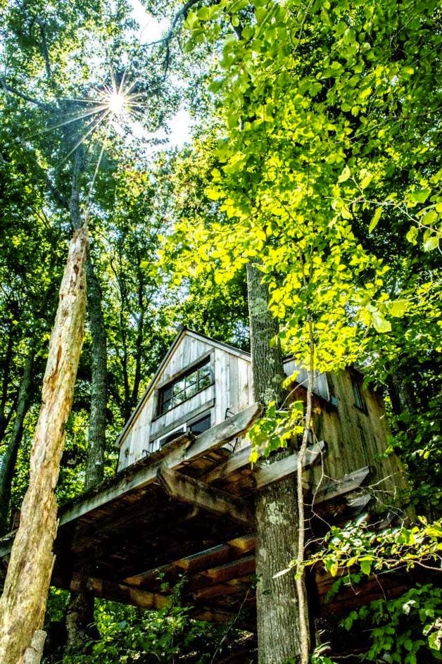 cabane en forêt