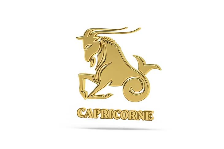 Signe du capricorne 