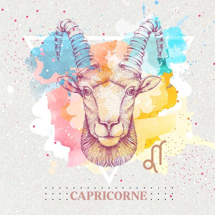 Signe du capricorne – source : spm