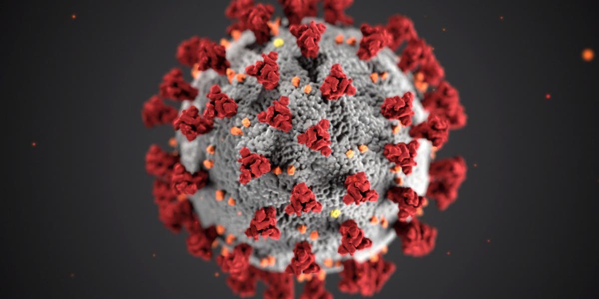 cellule coronavirus