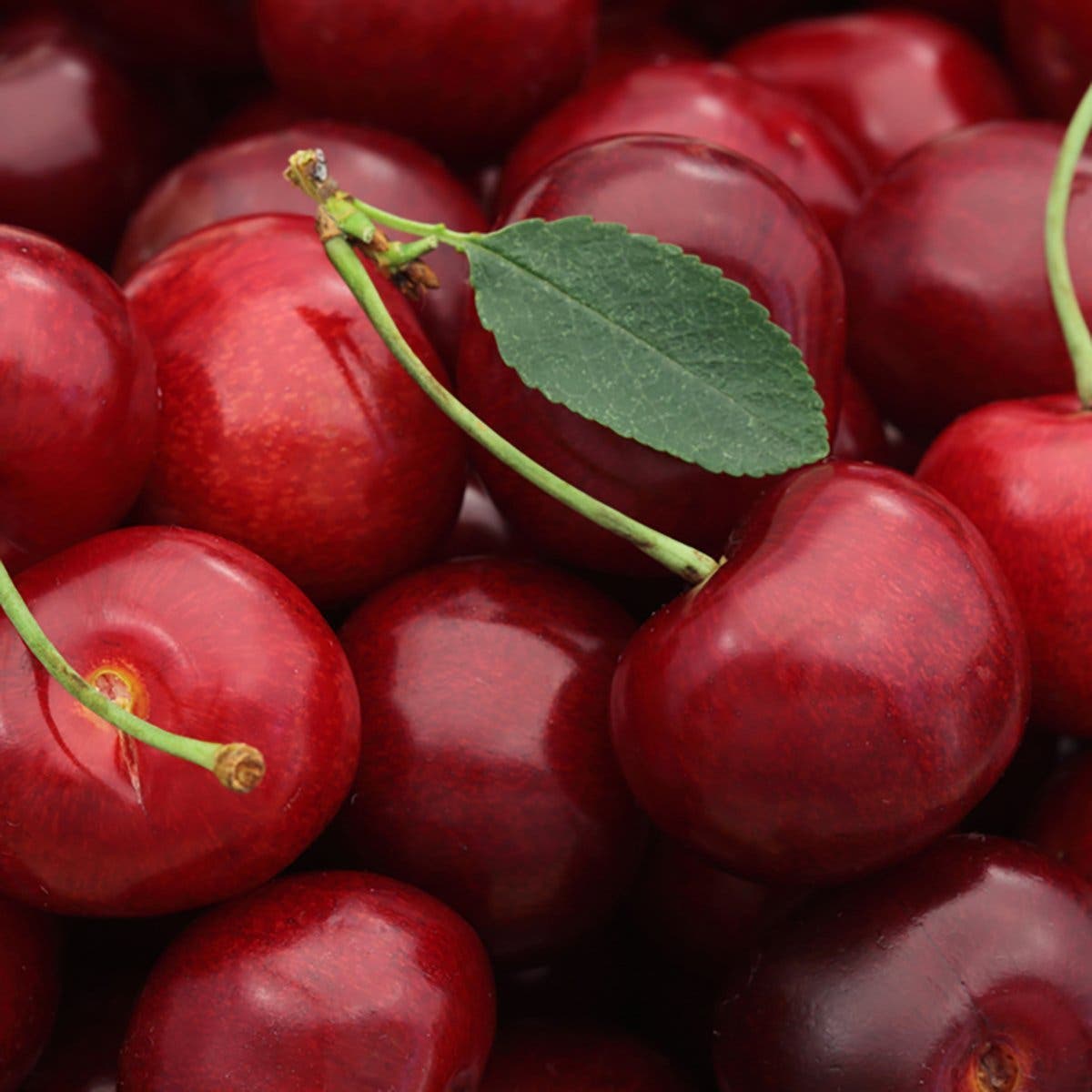 cerises