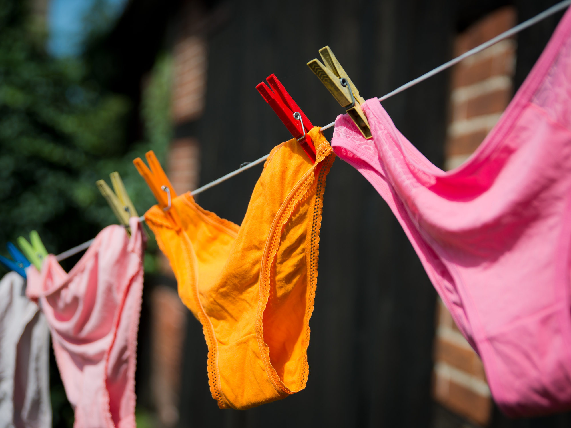 Différents types de sous-vêtements en coton et matières synthétiques étalés