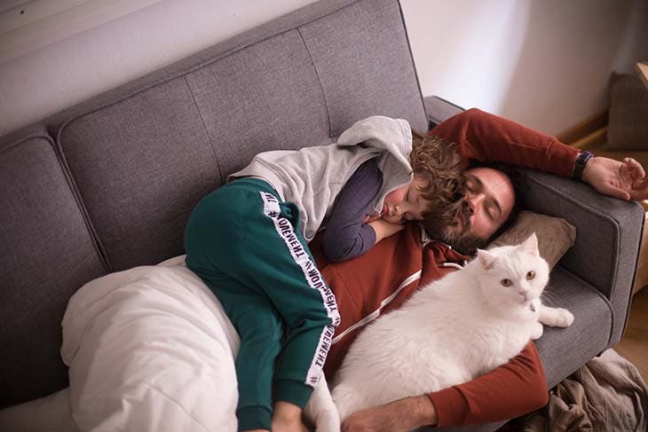 Chat qui dort avec humain – source : spm