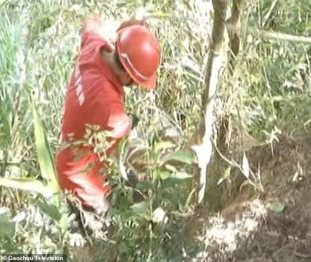 il jette son bébé d’une falaise