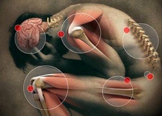 douleurs musculaires