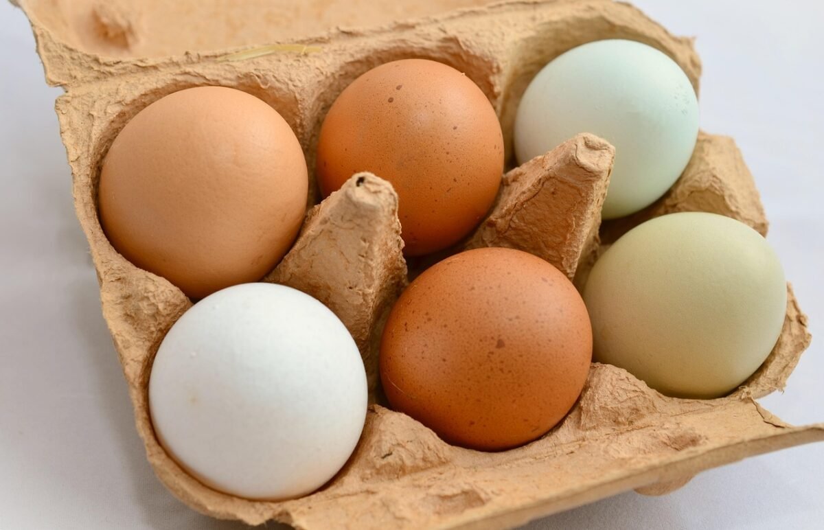 Œufs bruns dans un panier en osier