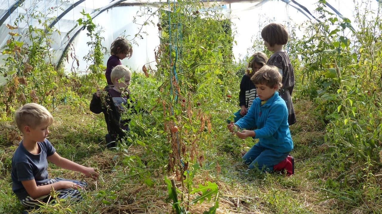 enfants ecole jardin