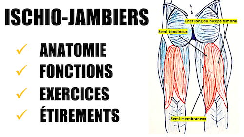 exercices pour les femmes de plus de 40 ans