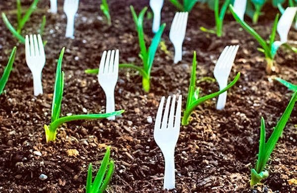 Elle dispose des fourchettes dans son jardin. C'est vraiment une idée de génie !