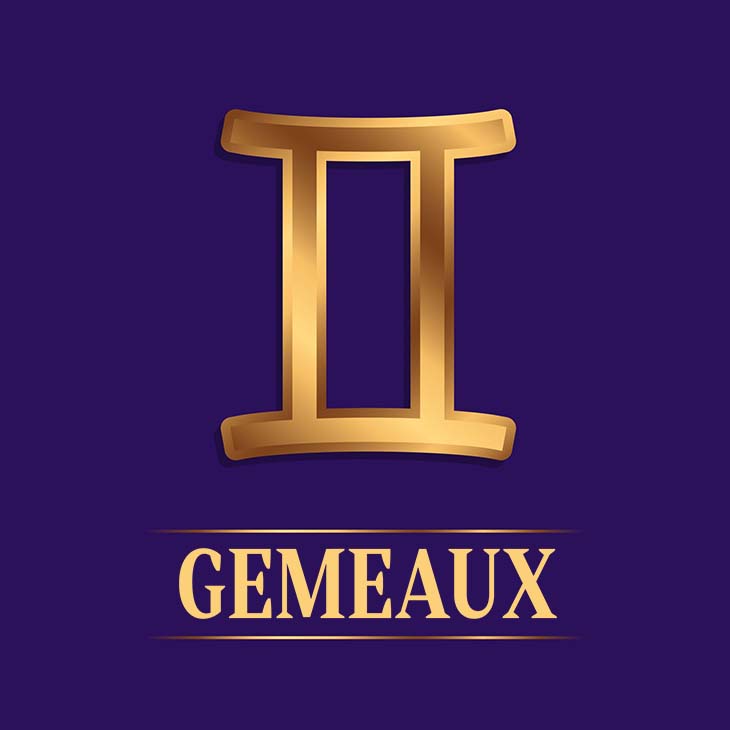 Signe astrologique du gémeaux – source : spm