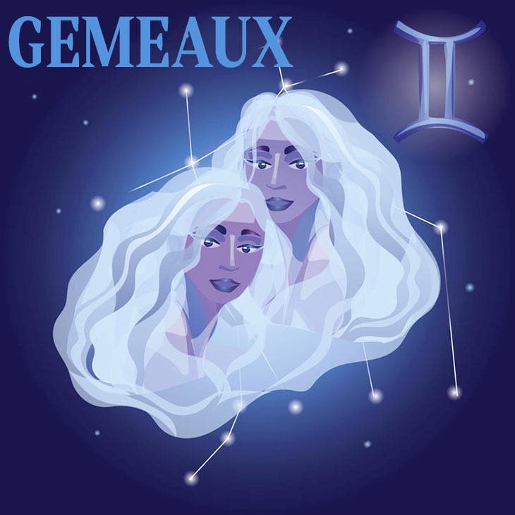 gemeaux heureux