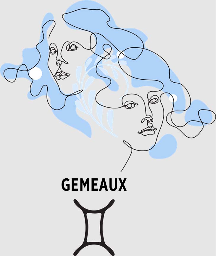 Gémeaux – source : spm